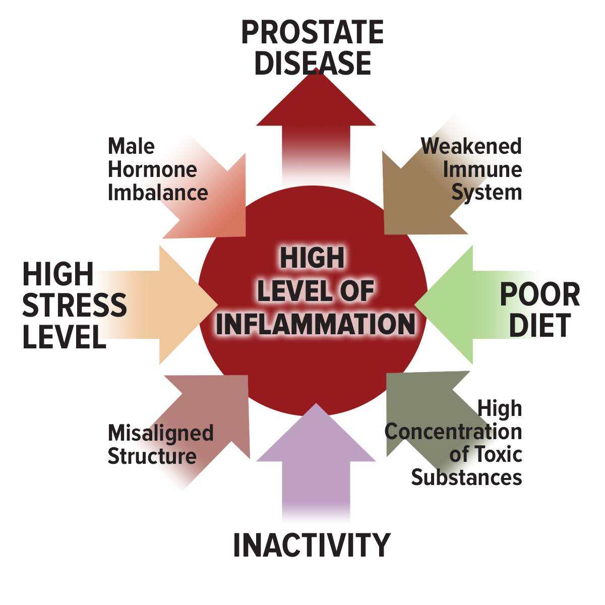 Causes of prostate disease