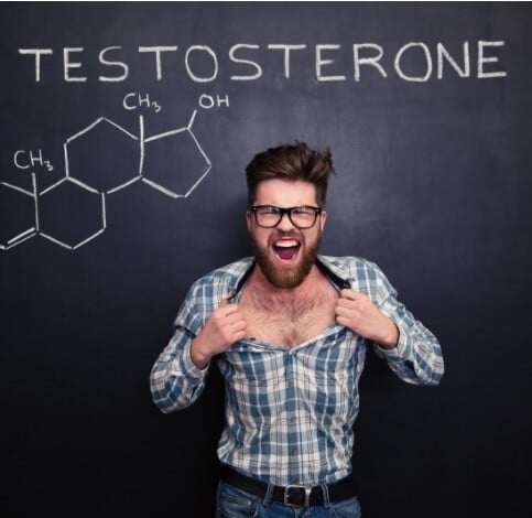 Testosterone on blackboard