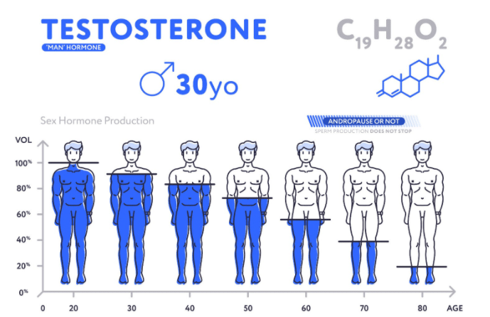 Testosterone infographics