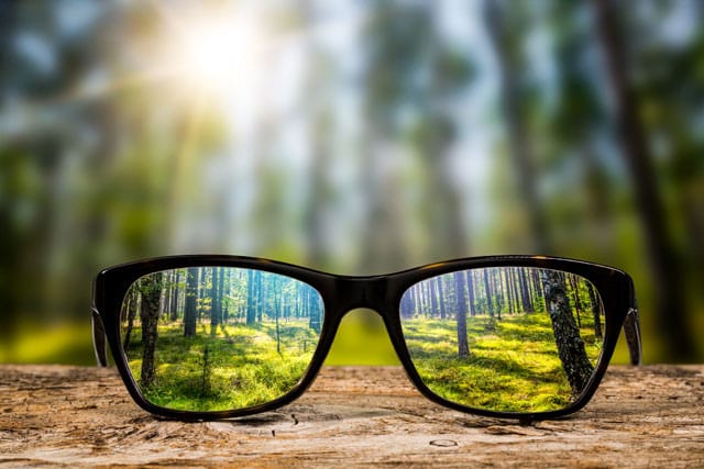 Glasses with forest background