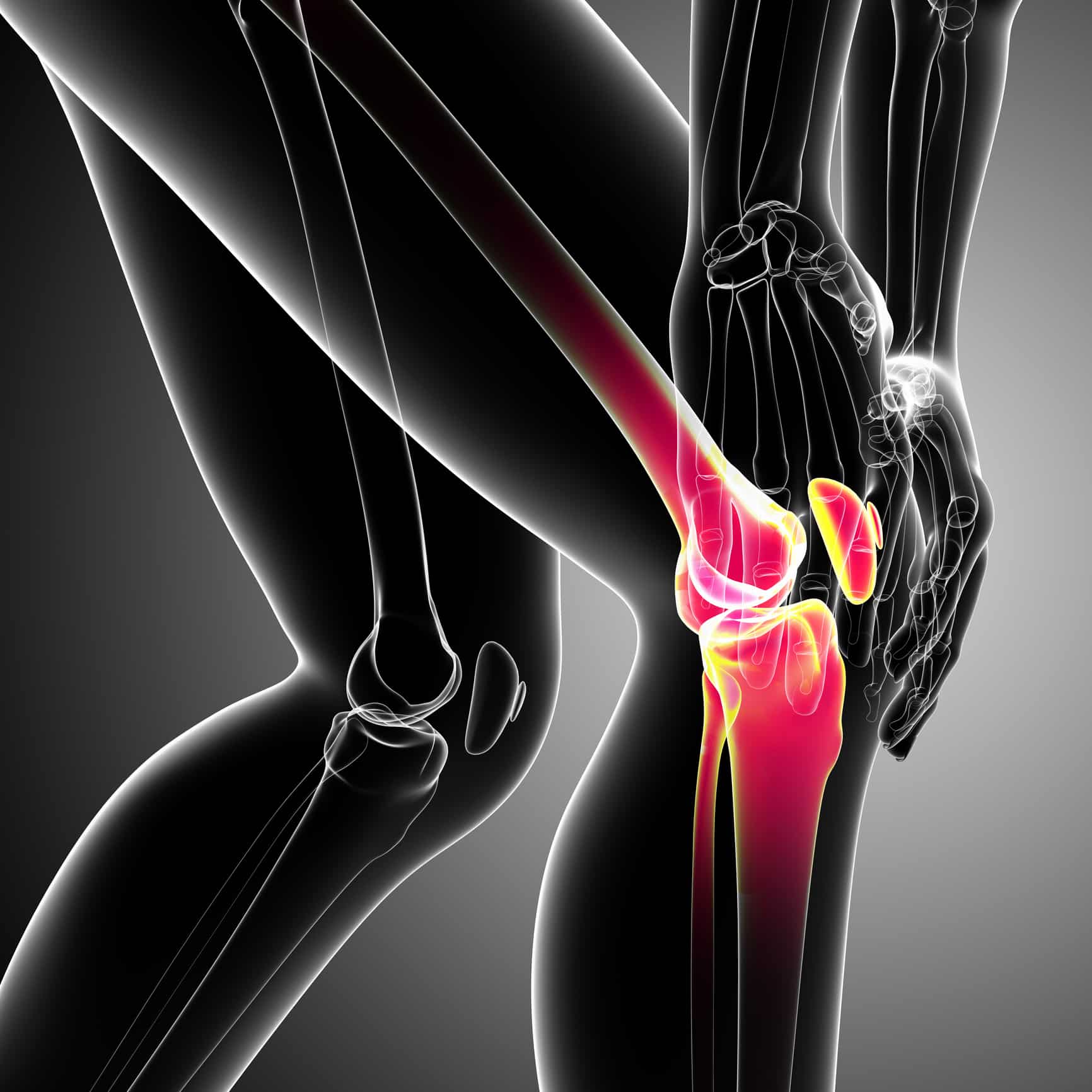 anatomy of male knee pain
