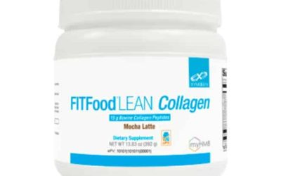 Fit Food Lean Collagen Mocha Latte 14 Servings