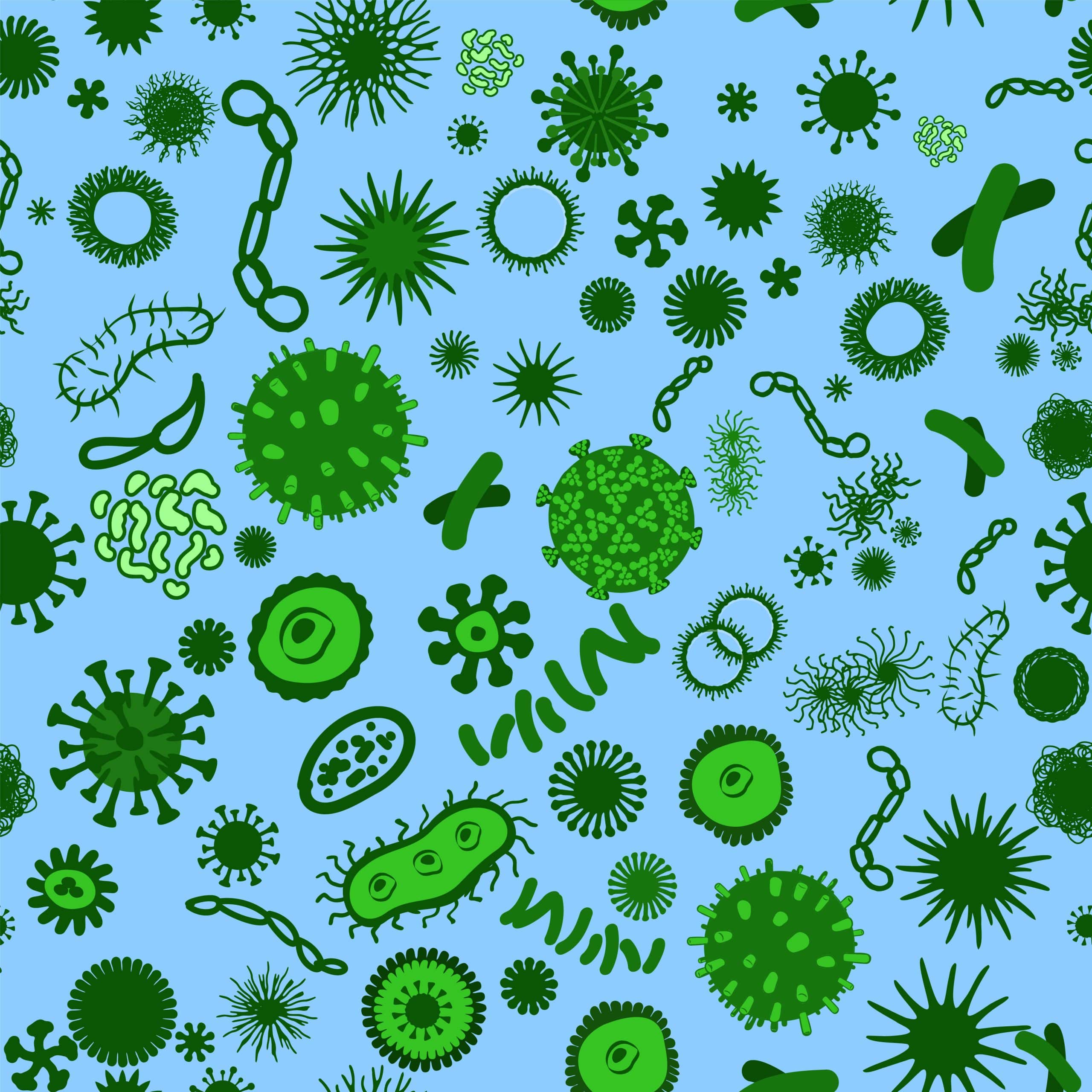 Micro organisms, microbes, bacteria,under the microscope. Seamless pattern.